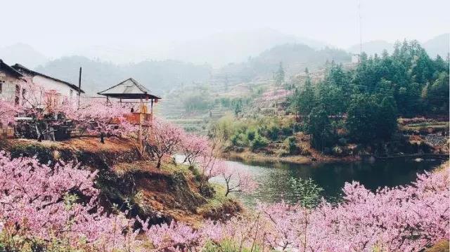 中國(guó)的桃花源和西方的烏托邦，是全人類(lèi)的精神遺產(chǎn)